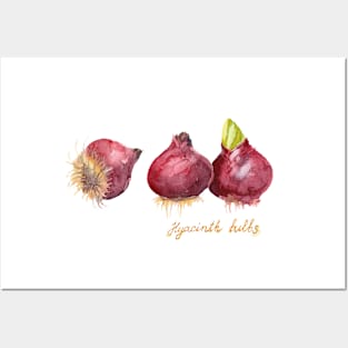 Three Purple Hyacinth Bulbs. Watercolor painting. Posters and Art